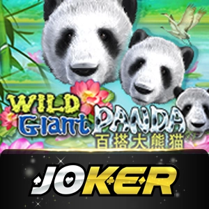 Joker123 - boybet168

